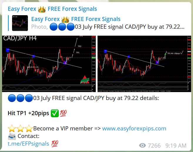 Easy Forex Pips Social network profiles