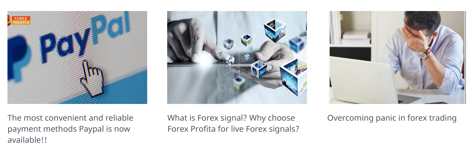 Forex Profita blog