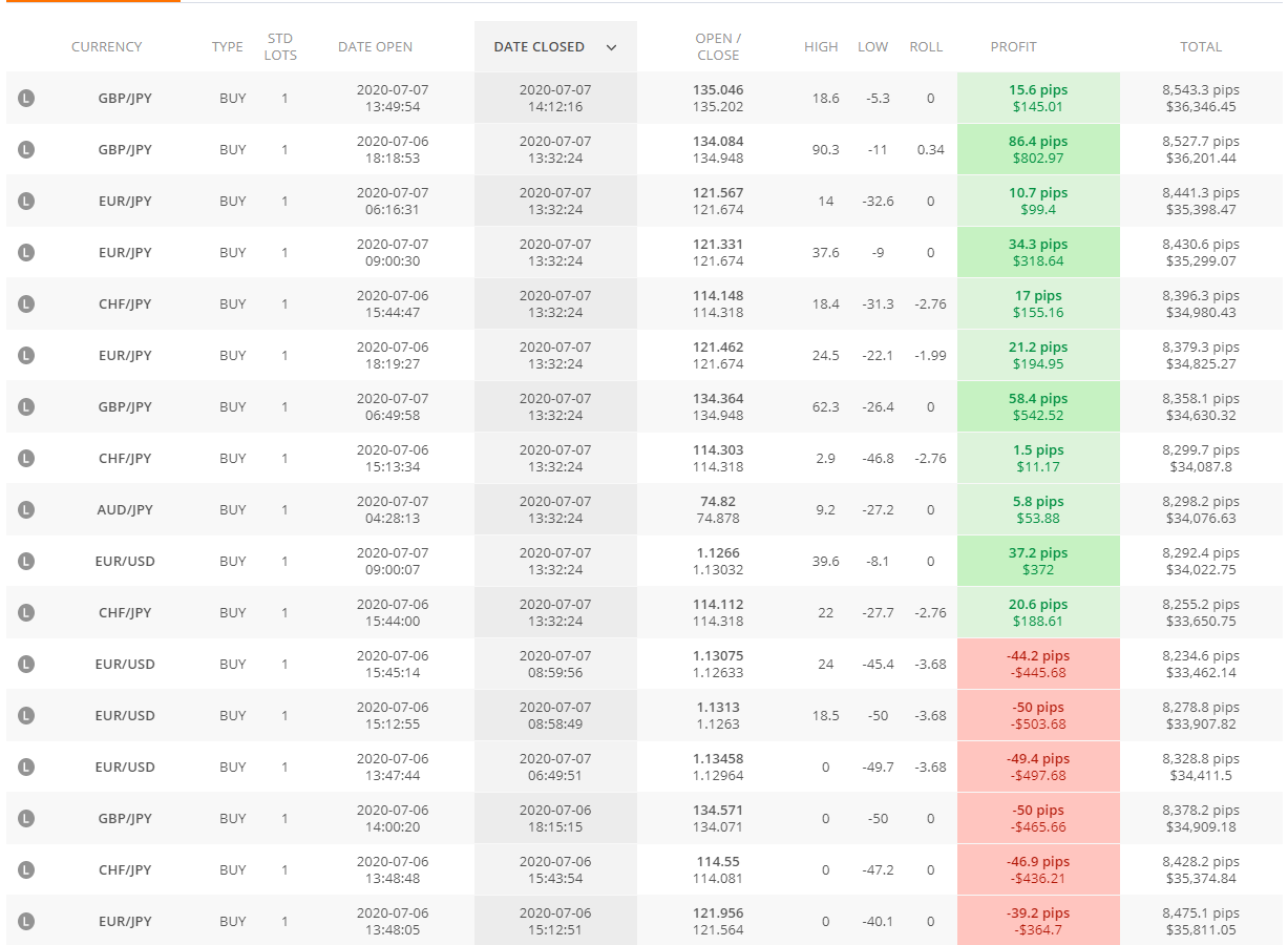 Forex Profita statistics