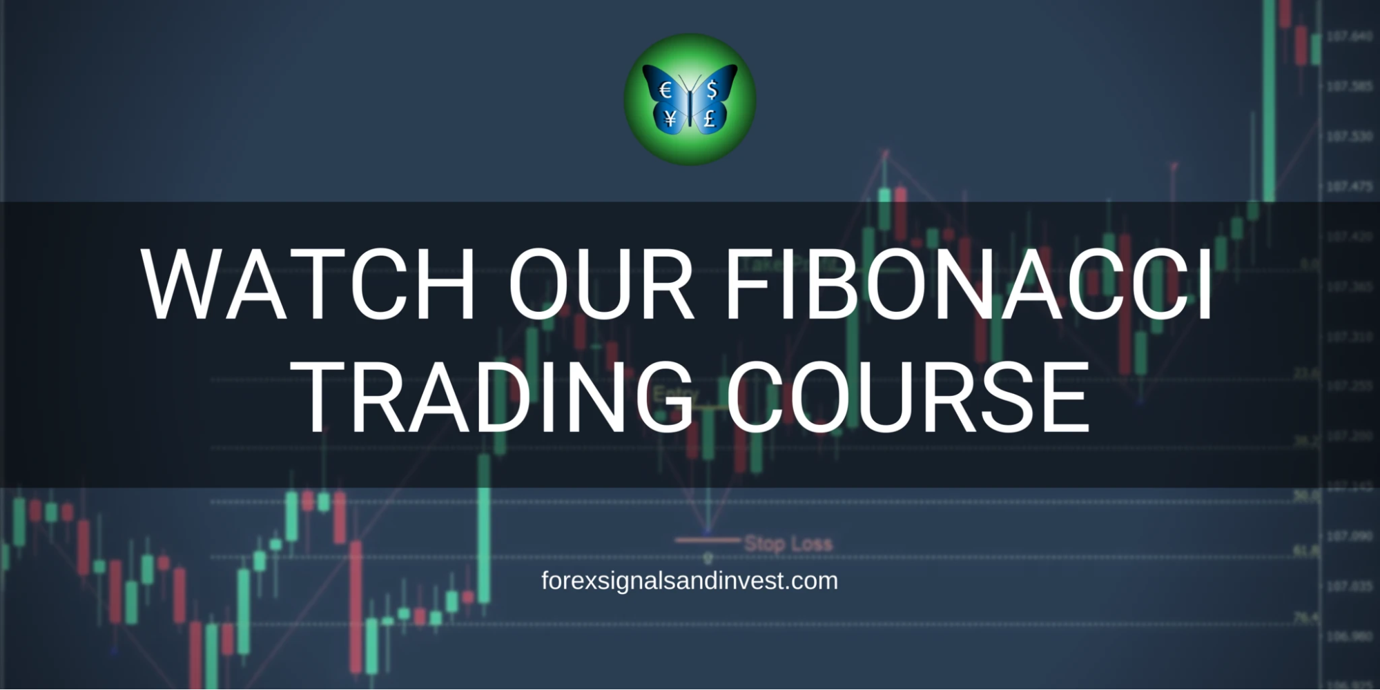 ForexSignalsandInvest Courses and educational materials