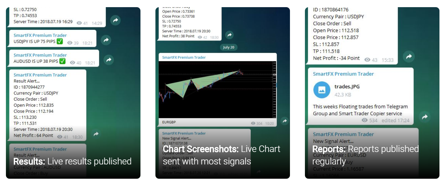 Smart FX Trader Telegram channels