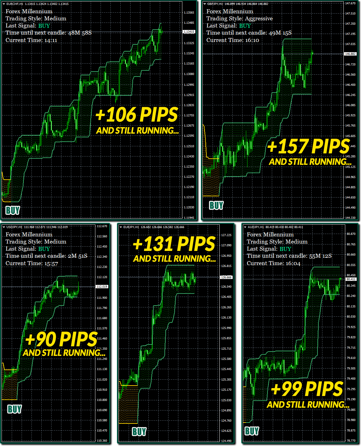 Forex Millenium trading results