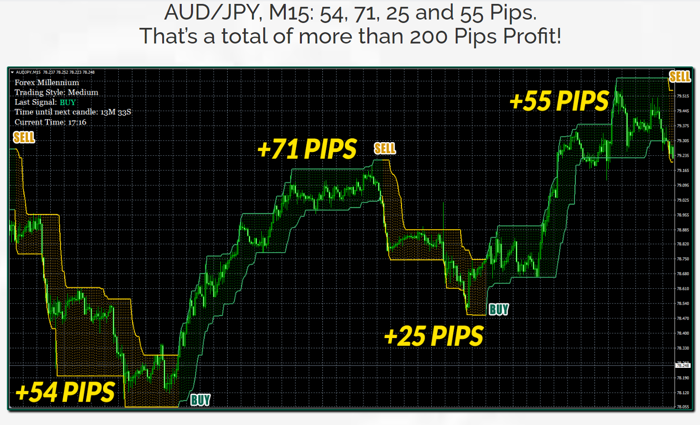 Forex Millenium trading results