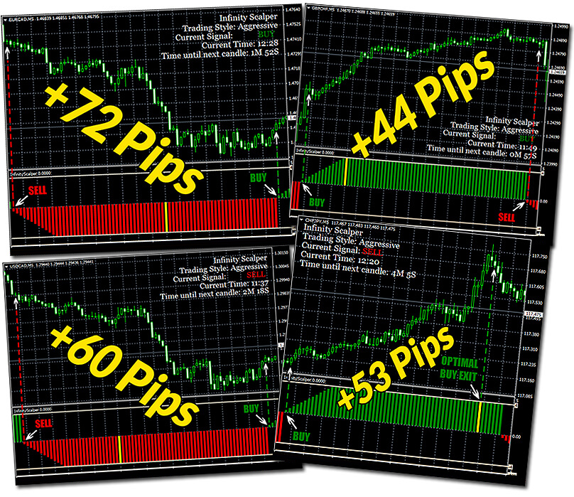 Infinity Scalper screenshot of charts