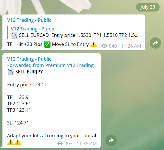 V12 Trading Telegram channel