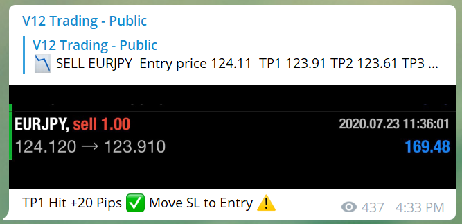 V12 Trading trading results