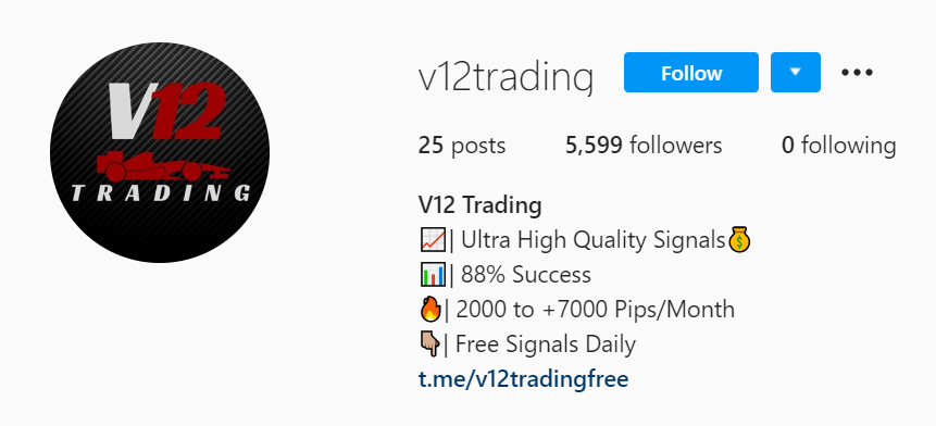 V12 Trading Social network profiles
