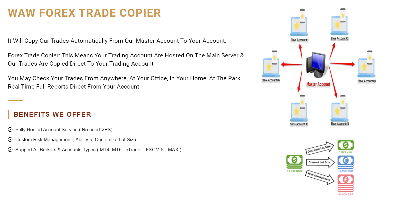 Waw Forex Signals How it works