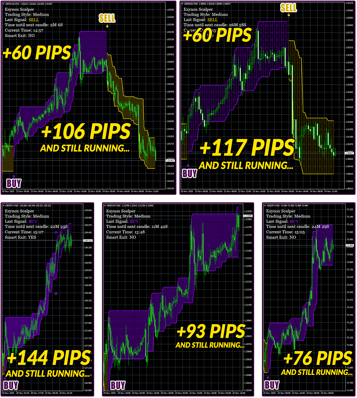 Exynox Scalper Trading Results