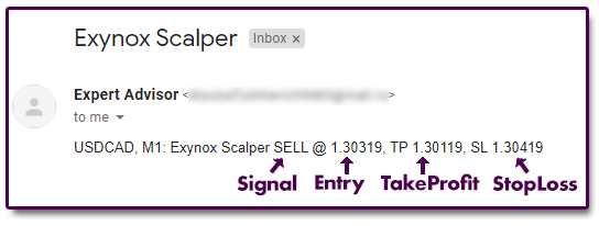 Exynox Scalper - The system delivers signals via email