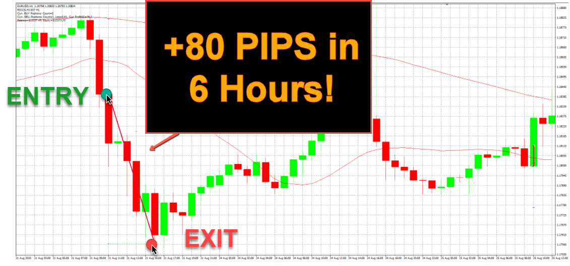 Siphon X Trading Results