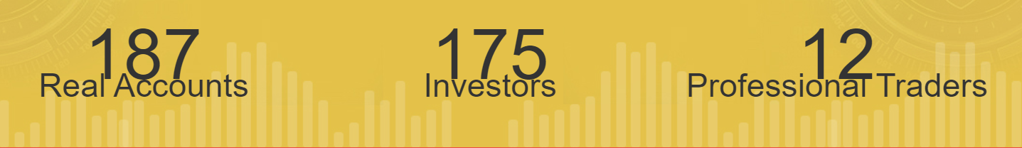 Wall Street Traders Club. The company informs us that there are 187 real accounts under management, 175 investors served.