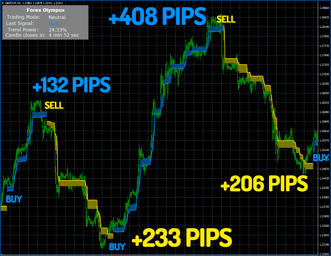 Forex Olympus - Trading Results