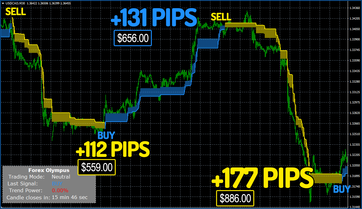 Forex Olympus - Trading Results